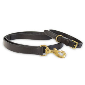 Handcrafted Leather Gun Dog Collar & Lead Set
