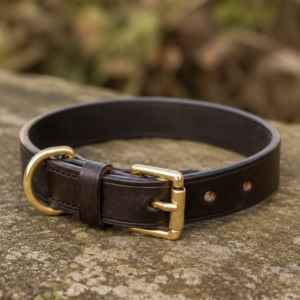 Handcrafted Leather Gun Dog Collar
